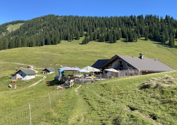 Stepbergalm in Garmisch-Partenkirchen