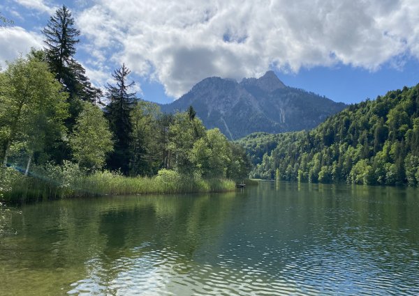 Schwansee bei Füssen/Schwangau