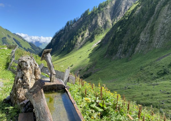 brunnen_baumgart_alm_bach_lechtal_3832.jpg