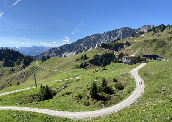 Hahnenkamm - Lechaschauer Alm - Gehrenalpe