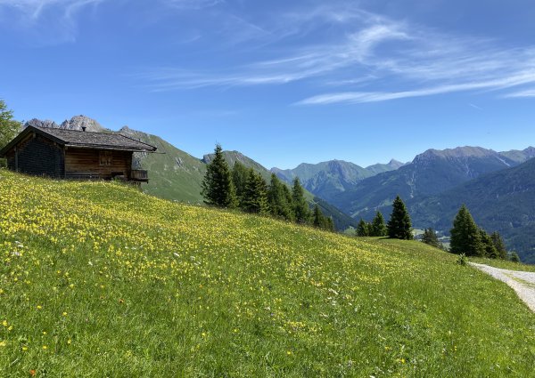 joechelspitze_lechtaler_panoramaweg_c_ulses_900.jpg