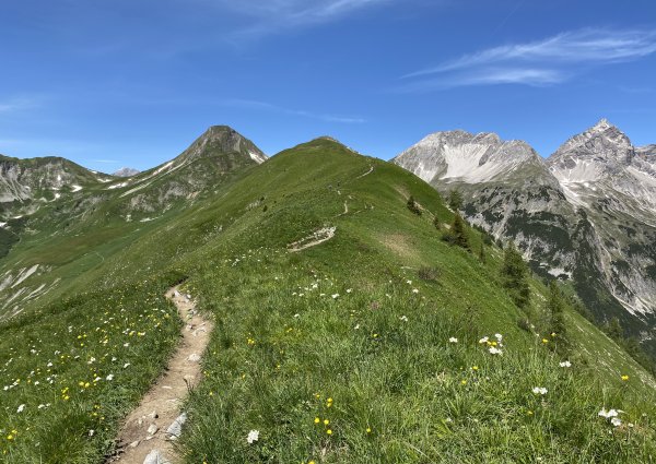 joechelspitze_panoramaweg_lechtal_c_ulses_886.jpg