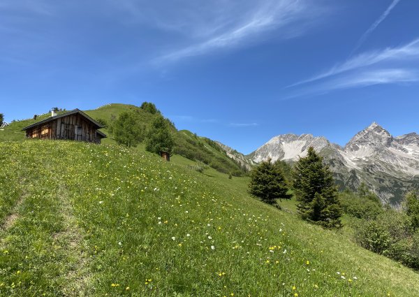 joechelspitze_panoramaweg_lechtal_c_ulses_895.jpg