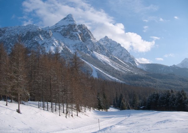 Lärchenwaldloipe - Ehrwald