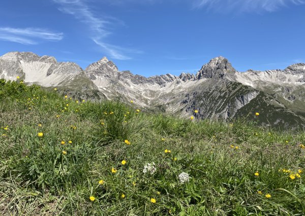 lechtal_bergpanorama_c_ulses_880.jpg