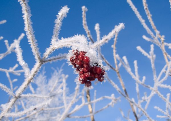 Winterwanderweg nach Mitteregg