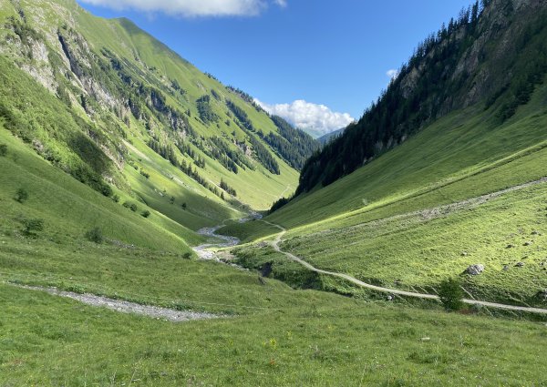 talblick_baumgart_alm_bach_lechtal_3820.jpg