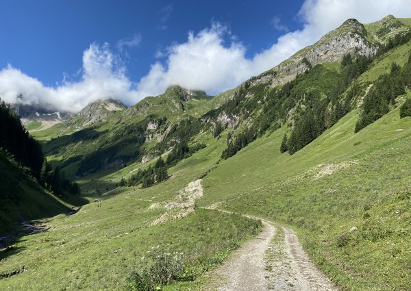wanderweg_baumgart_alm_bach_lechtal_3796.jpg