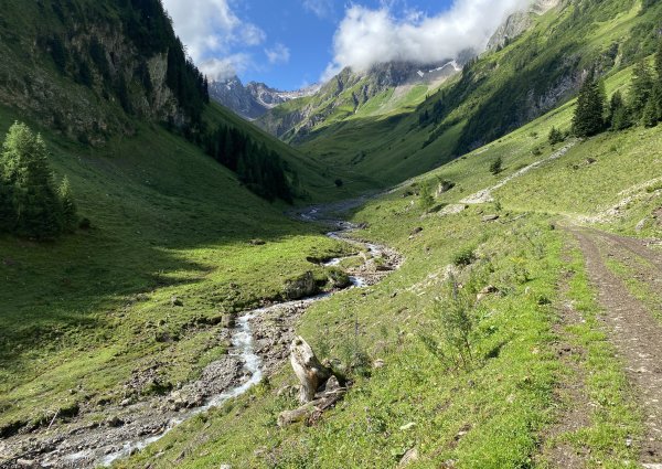 weg_baumgart_alm_bach_lechtal_3805.jpg