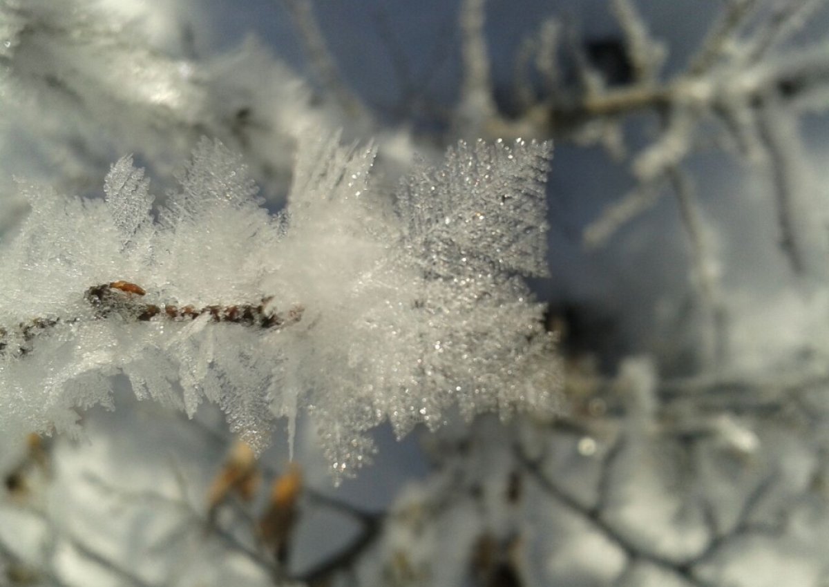Ferienwohnungen Schneekristall 2023 #2