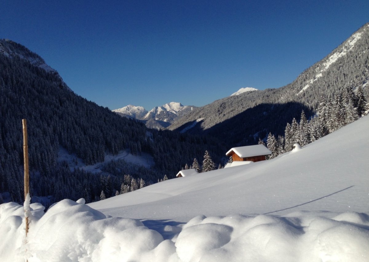 Winterglück im Pulverschnee 2023 7ÜN